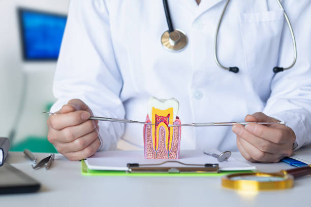 Best Emergency Denture Repair in Woodfield, SC